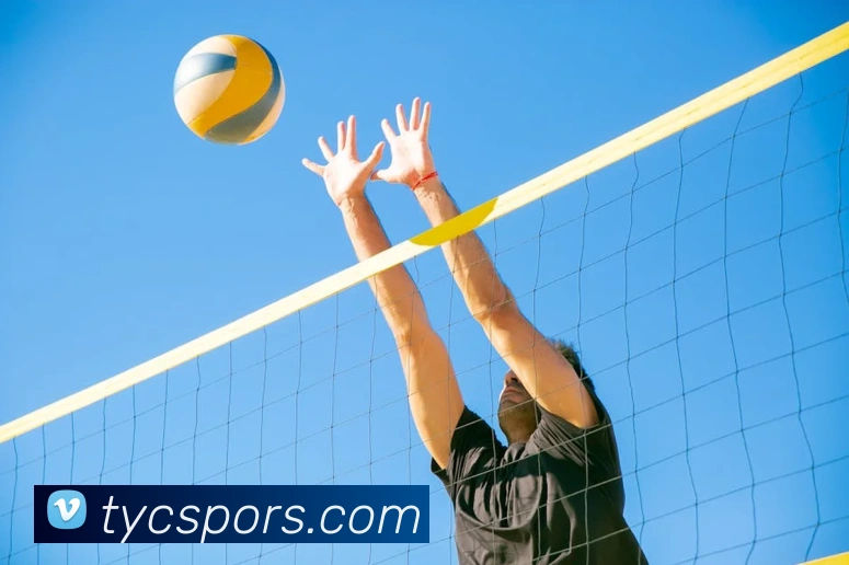 体育直播服务
